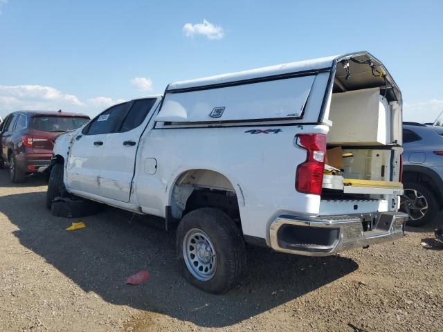 2023 CHEVROLET SILVERADO K1500 1GCRDAED3PZ149408