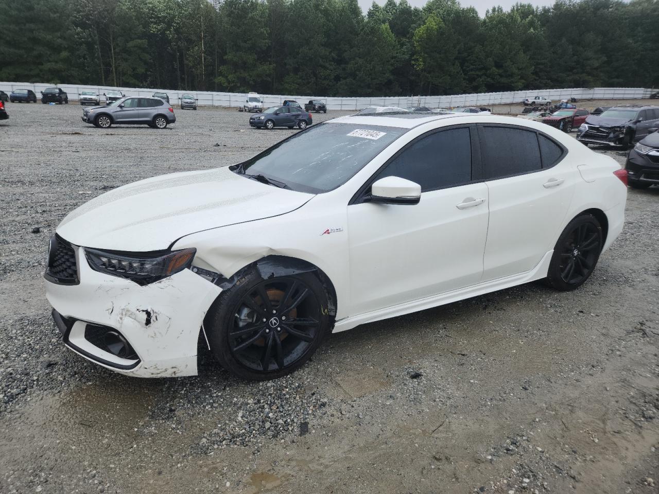 ACURA TLX TECH+A