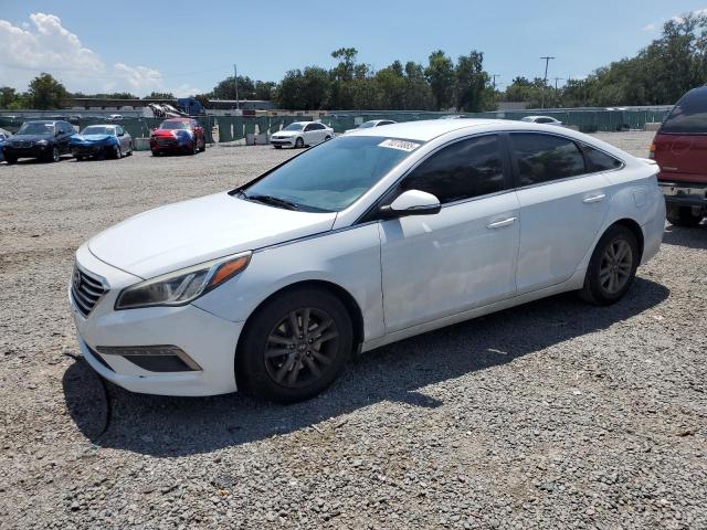 HYUNDAI SONATA ECO
