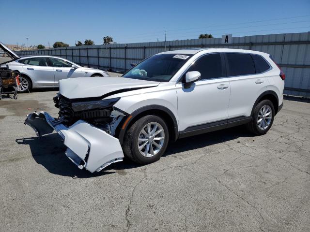 2024 HONDA CR-V EXL #3302687034