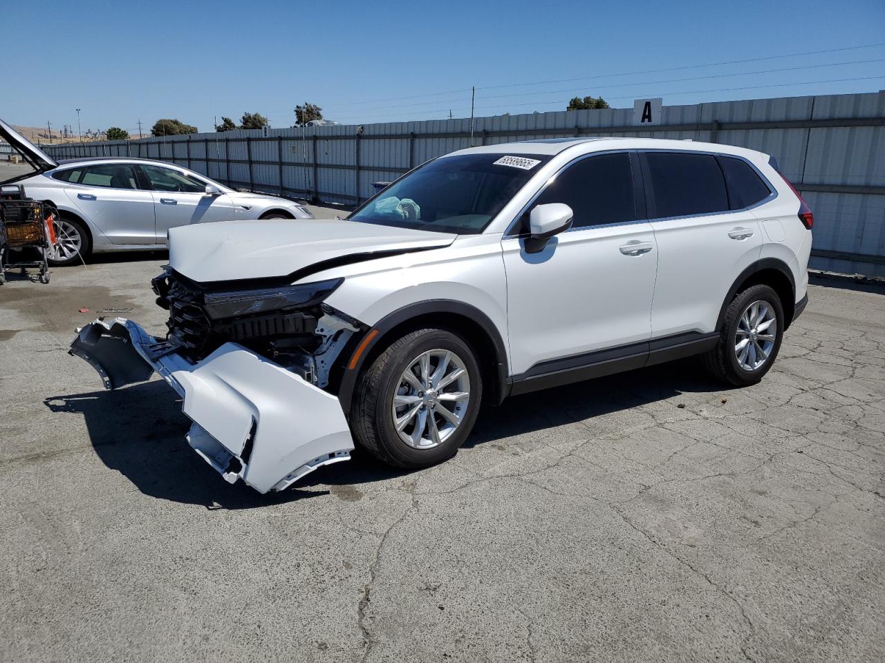 Lot #3302687034 2024 HONDA CR-V EXL