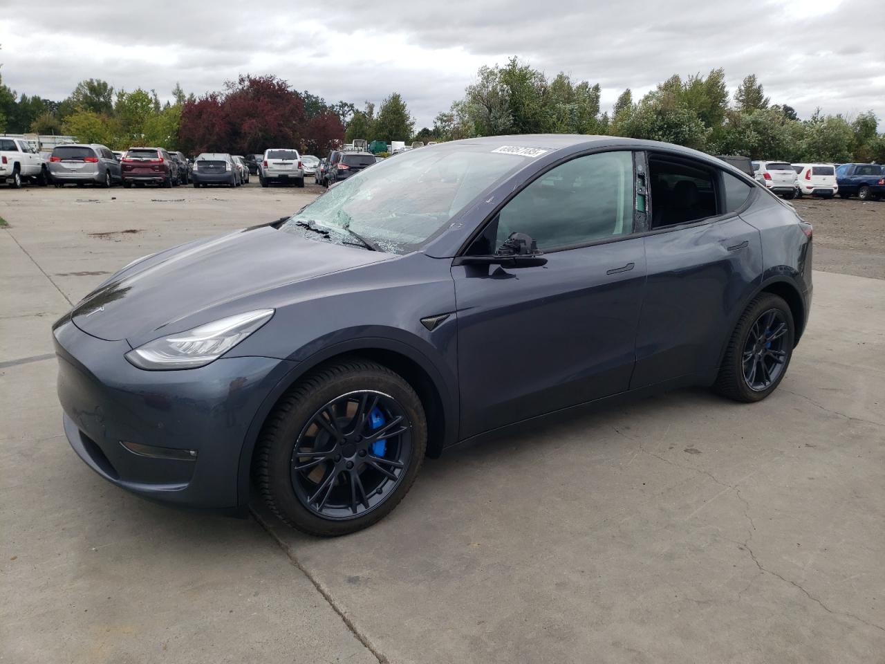 Lot #3268311043 2021 TESLA MODEL Y