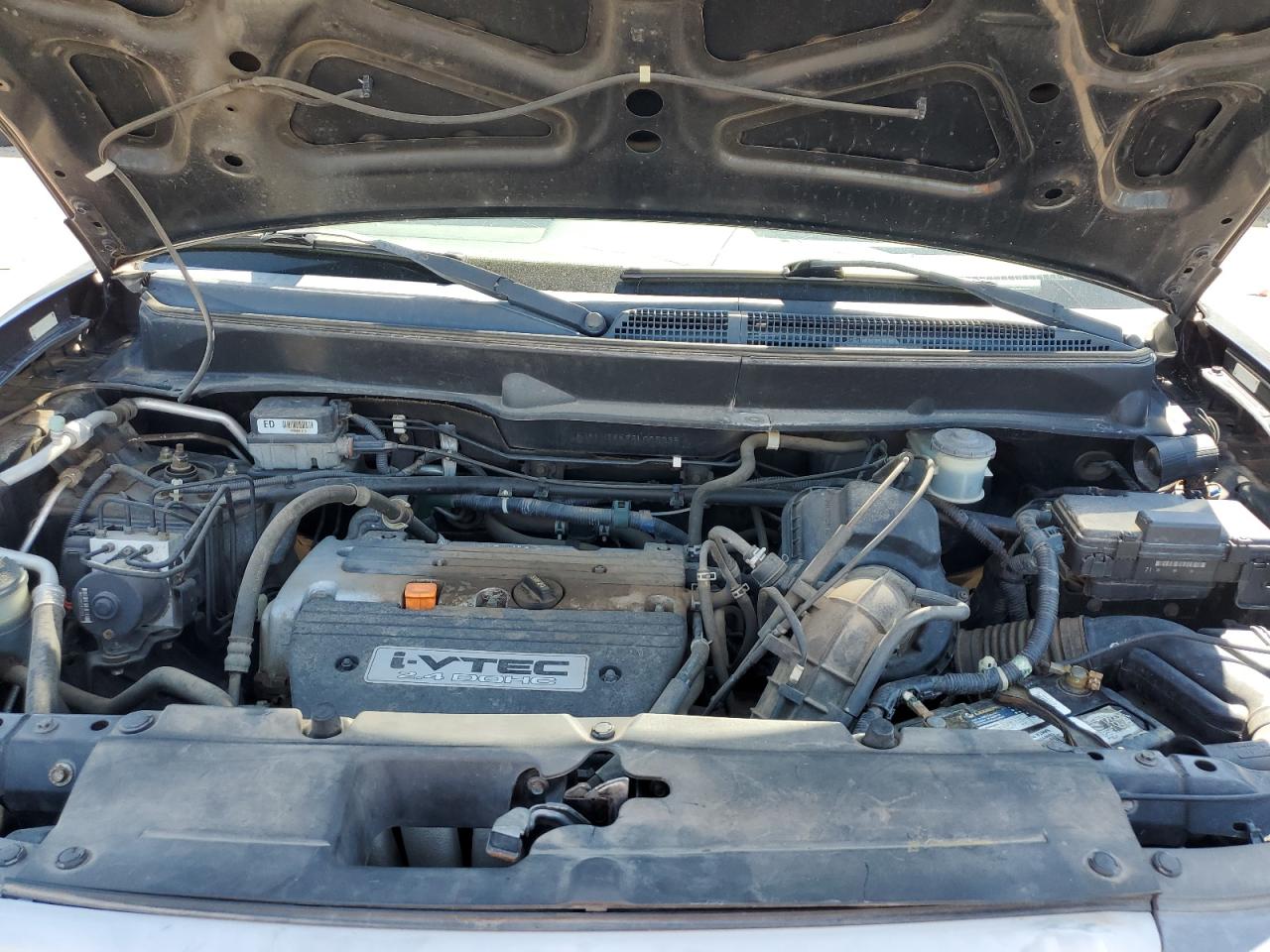 Lot #3229497875 2003 HONDA ELEMENT EX