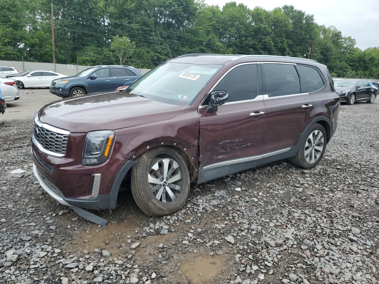 KIA TELLURIDE S