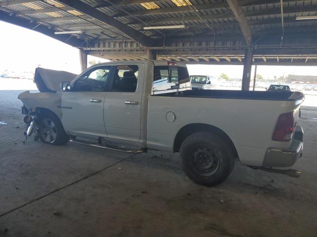 2010 DODGE RAM 1500 - 1D7RB1GT4AS213259