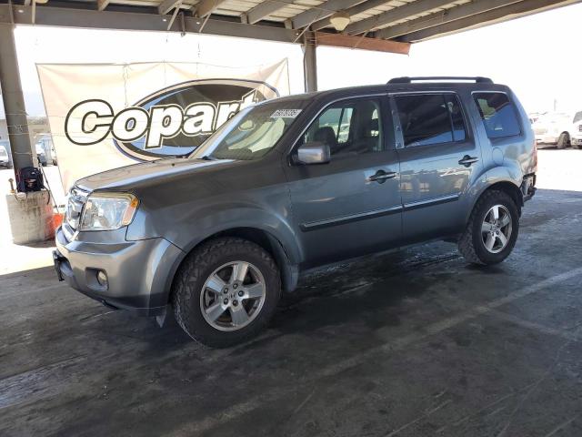 2010 HONDA PILOT EXL - 5FNYF4H65AB024024