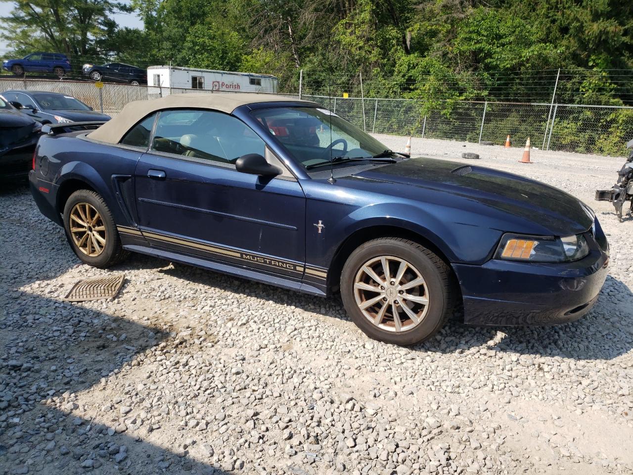 Lot #3301661624 2001 FORD MUSTANG