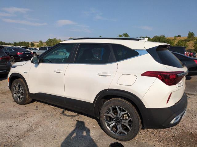 2023 KIA SELTOS EX - KNDERCAA9P7401567