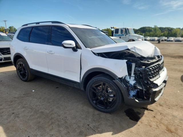 2025 KIA TELLURIDE EX 5XYP3DGC6SG591154