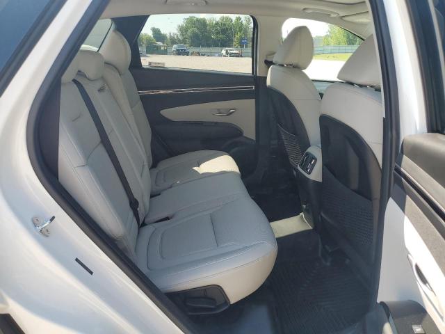 2023 HYUNDAI TUCSON LIM 5NMJECAE7PH292385