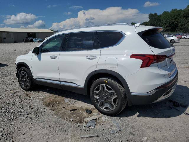 2023 HYUNDAI SANTA FE L 5NMS4DAL6PH655593