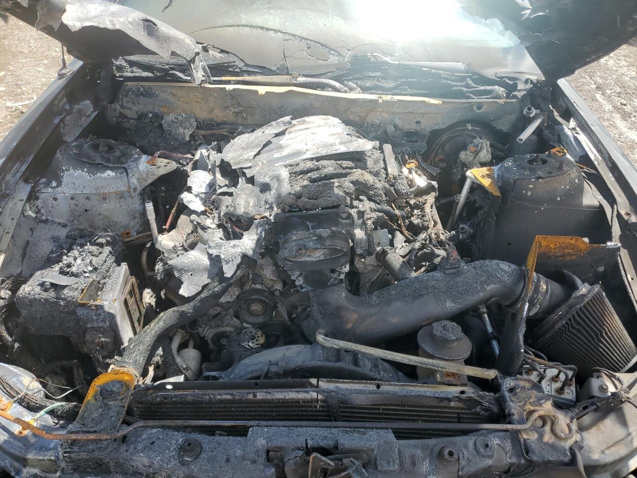 Lot #3273928801 2006 FORD MUSTANG GT