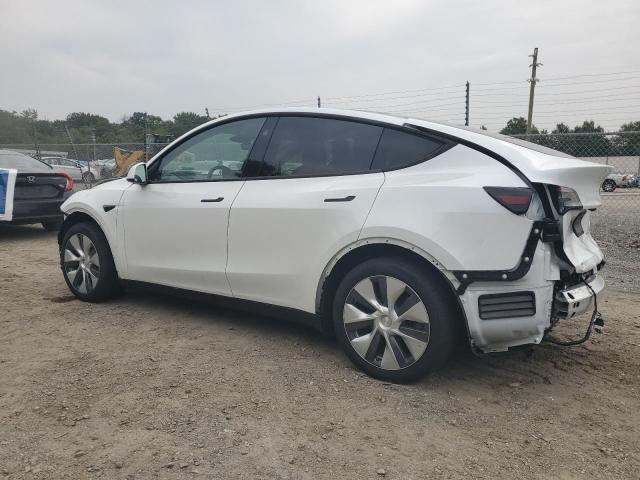 2023 TESLA MODEL Y 7SAYGDEE0PA150079
