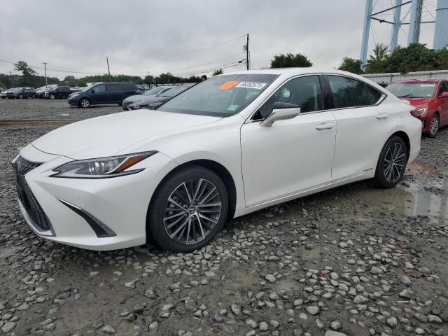 2022 LEXUS ES 300H BA 58ADA1C16NU018452