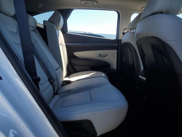2024 HYUNDAI TUCSON 5NMJECDE8RH409762
