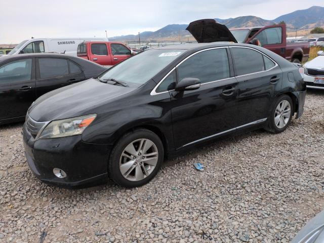 LEXUS HS 250H