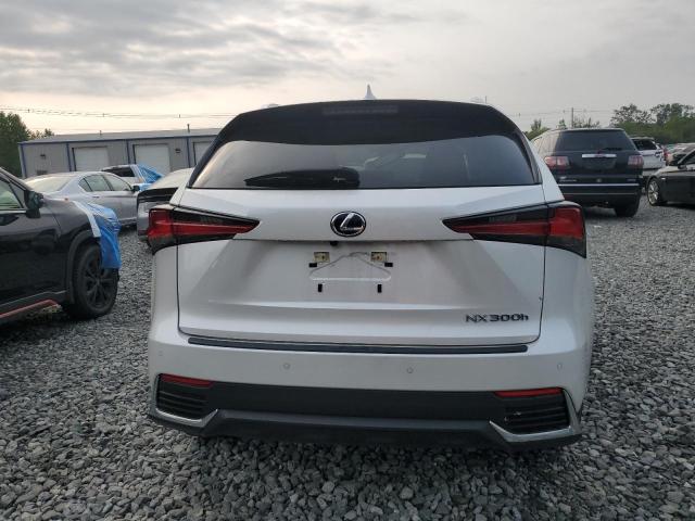 2021 LEXUS NX 300H BA JTJDJRDZ7M5011515