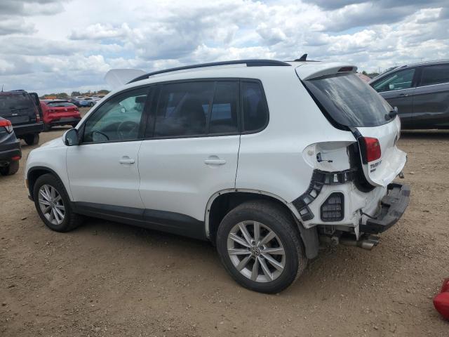 2017 VOLKSWAGEN TIGUAN S WVGBV7AX2HK053101