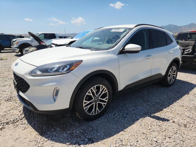 FORD ESCAPE SEL