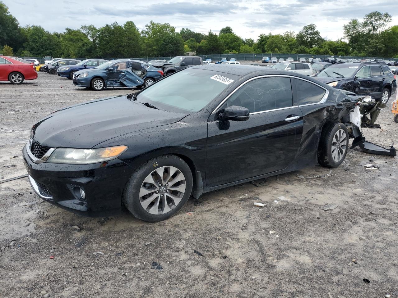 HONDA ACCORD EXL