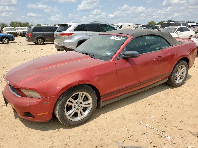 FORD MUSTANG
