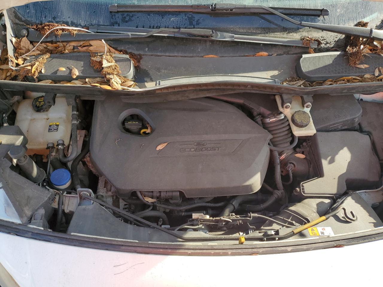 FORD TRANSIT CONNECT XLT