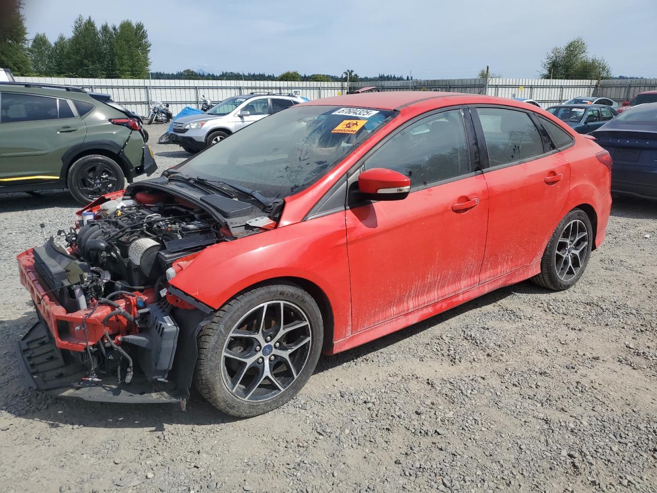 Lot #3237231302 2016 FORD FOCUS SE