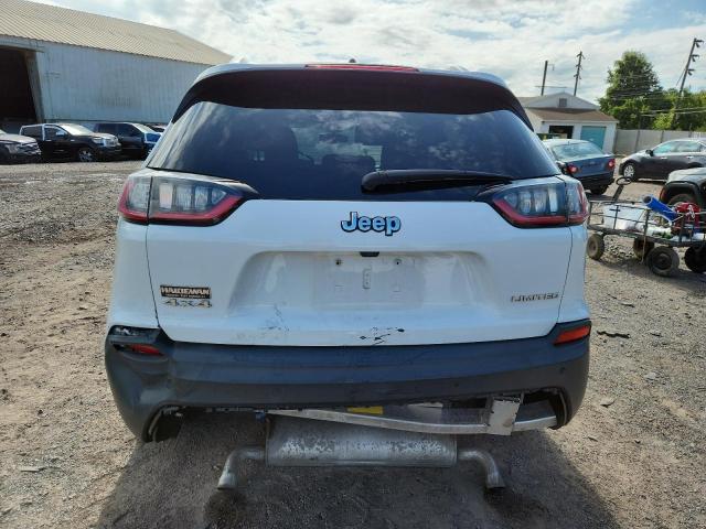 2019 JEEP CHEROKEE L 1C4PJMDX3KD138542