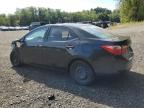 Lot #3303571950 2019 TOYOTA COROLLA L