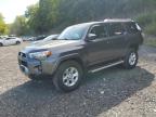 Top Destinations for Shipping Cars from the USA
