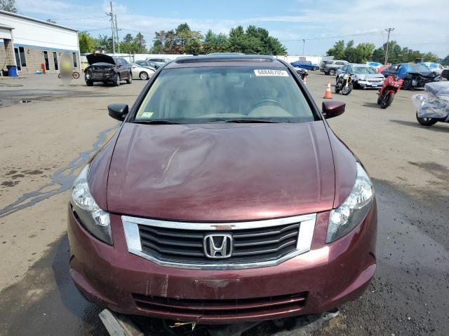 2010 HONDA ACCORD EXL - 1HGCP2F85AA169025