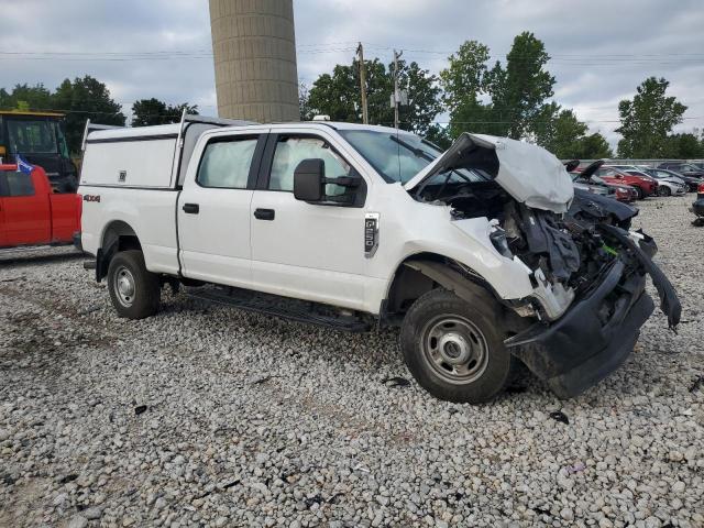 2019 FORD F250 - 1FT7W2B67KED15751