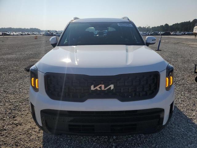 2024 KIA TELLURIDE EX 5XYP3DGC7RG558271