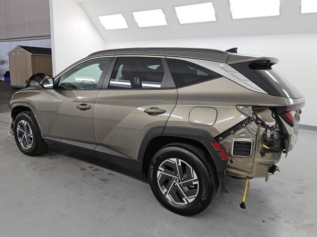 2025 HYUNDAI TUCSON BLU KM8JBDD17SU263599