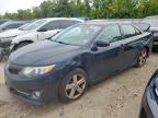 Top Destinations for Shipping Cars from the USA