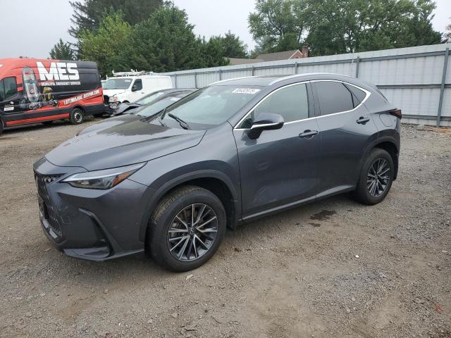 LEXUS NX 350