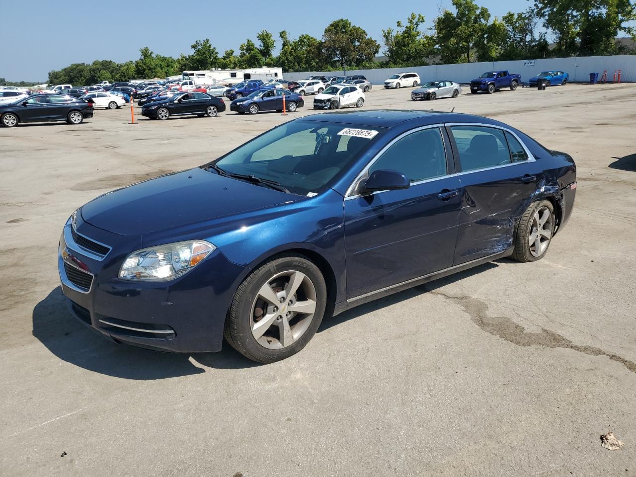 CHEVROLET MALIBU 1LT