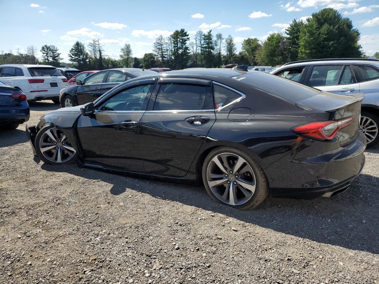 ACURA TLX ADVANCE