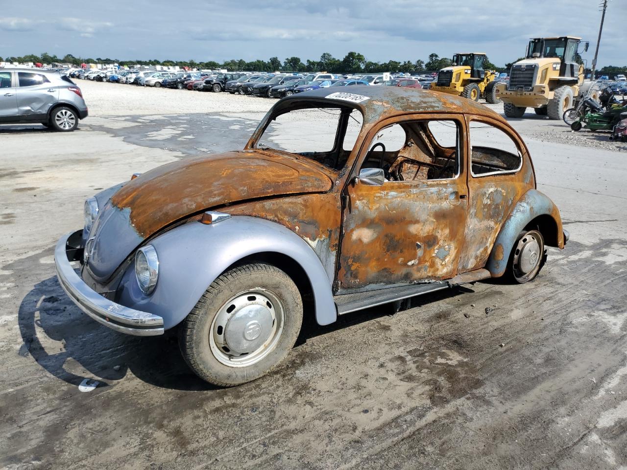 Lot #3309585575 1969 VOLKSWAGEN BEETLE