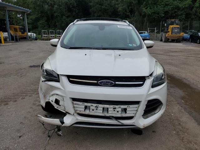 2014 FORD ESCAPE TIT - 1FMCU9J91EUE33079