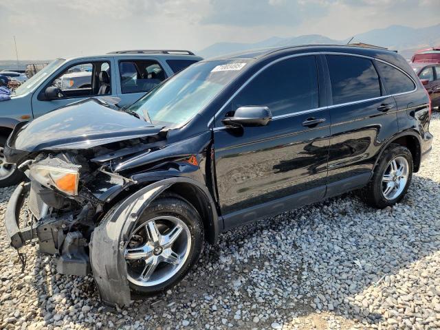 Global Auto Auctions: 2008 HONDA CR-V EXL