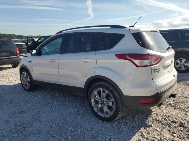 2016 FORD ESCAPE SE - 1FMCU9G94GUA28652