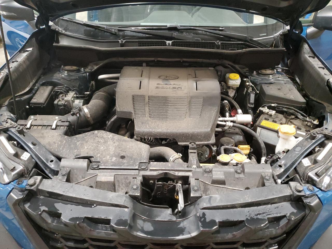 SUBARU FORESTER WILDERNESS