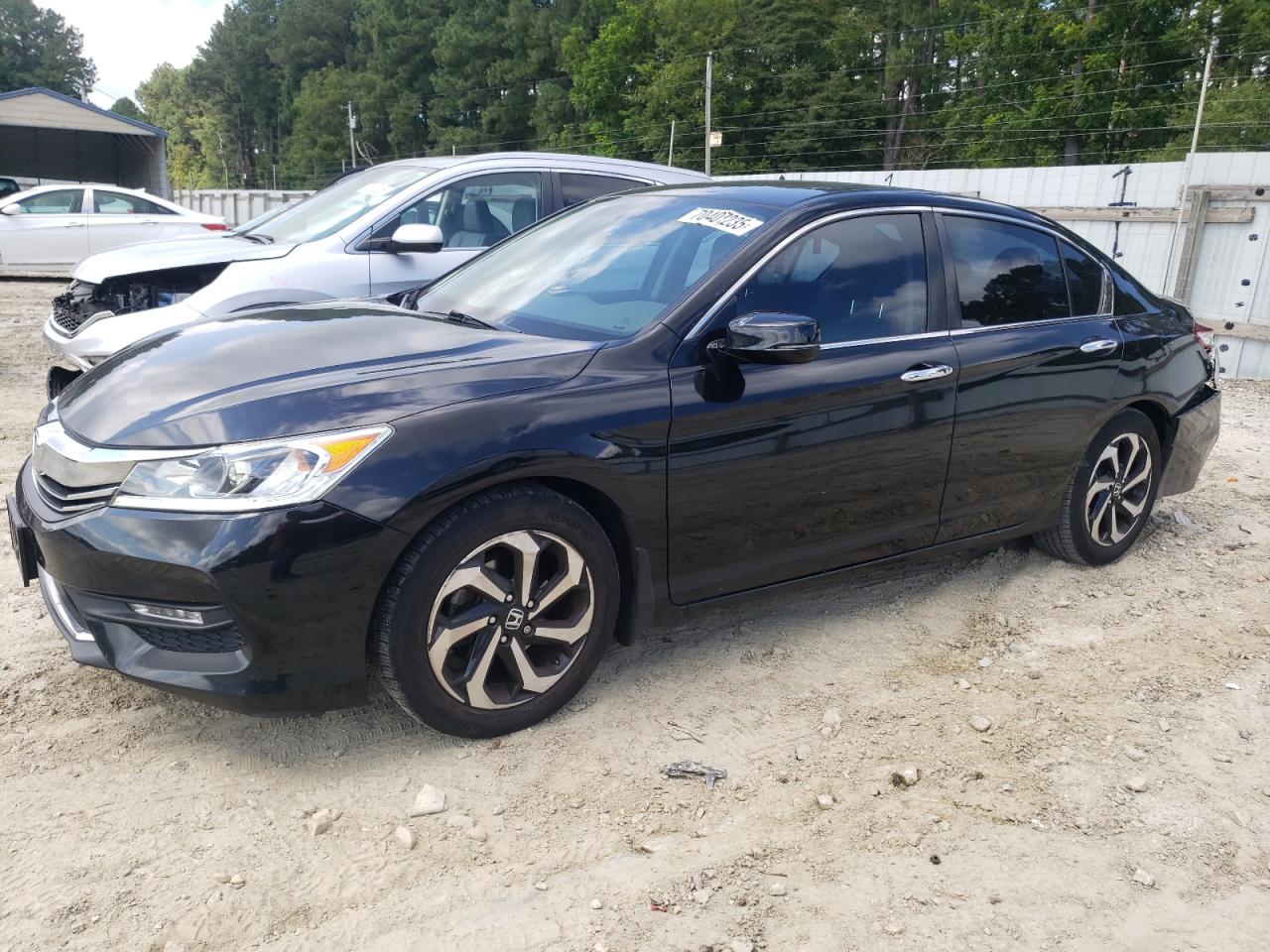 HONDA ACCORD EXL