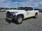 2023 TOYOTA TUNDRA CRE - 5TFLA5DB7PX099663