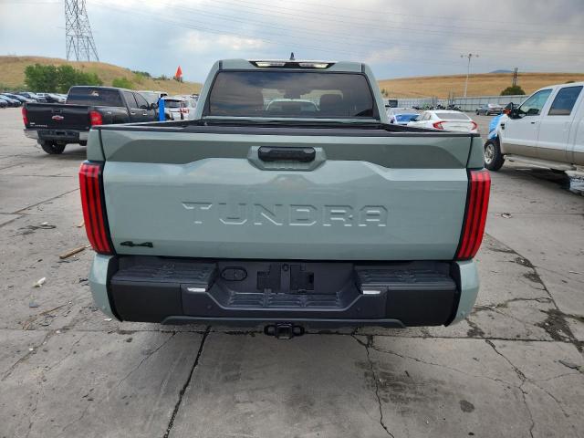 2025 TOYOTA TUNDRA CRE 5TFLA5DB9SX296018