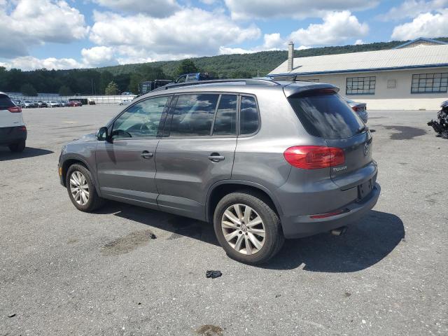 2017 VOLKSWAGEN TIGUAN S WVGBV7AXXHK012411