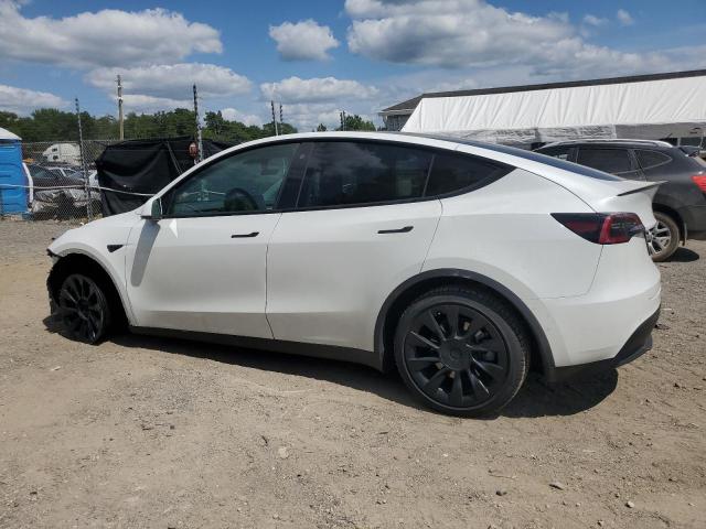 2021 TESLA MODEL Y - 5YJYGDEE9MF204636
