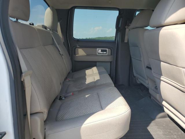 2010 FORD F150 SUPERCREW - 1FTFW1EV0AKE52829