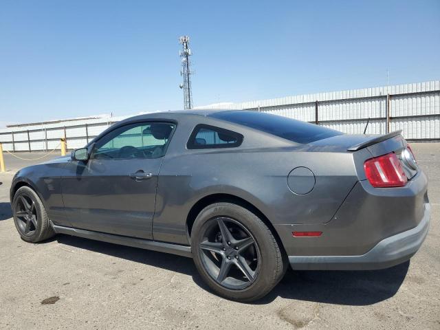 2010 FORD MUSTANG - 1ZVBP8AN2A5176157